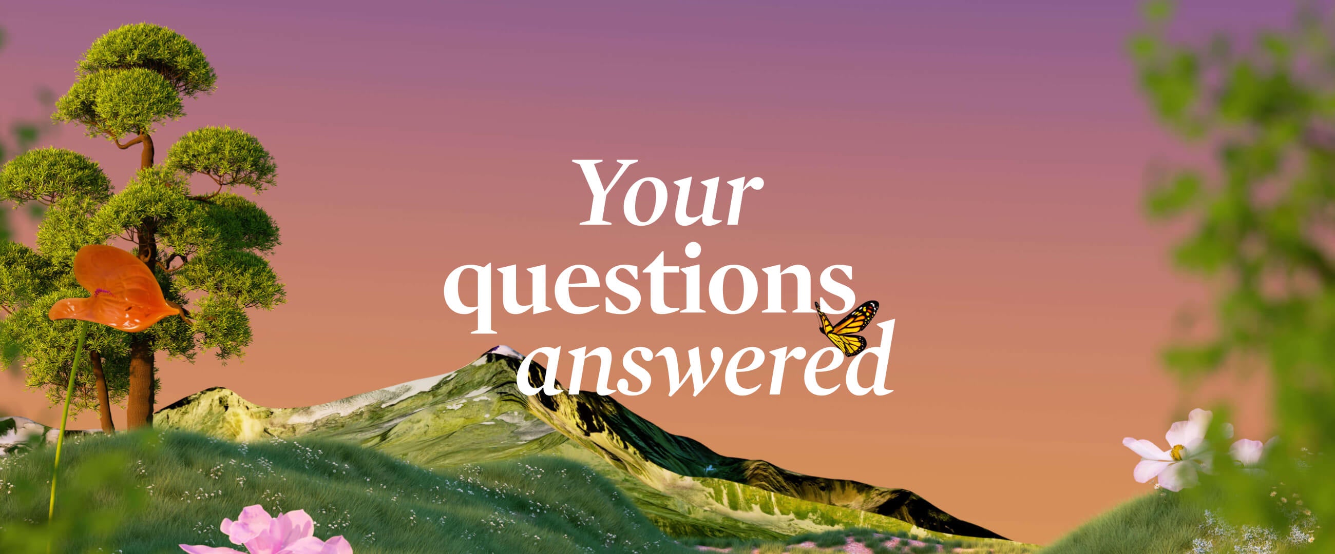 What is the difference between vegan and cruelty free?